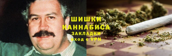 ГАЛЛЮЦИНОГЕННЫЕ ГРИБЫ Балабаново