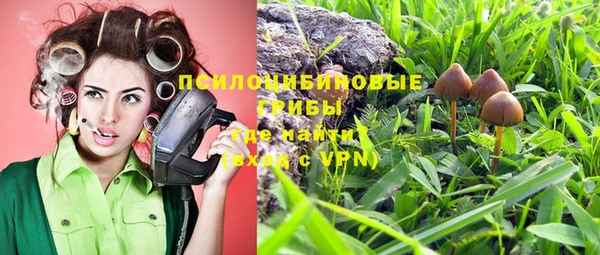 ГАЛЛЮЦИНОГЕННЫЕ ГРИБЫ Балабаново