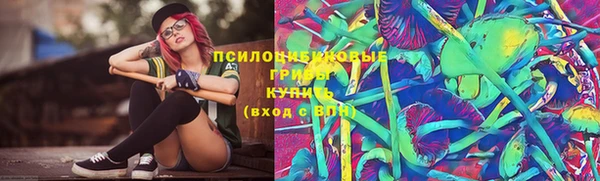 ГАЛЛЮЦИНОГЕННЫЕ ГРИБЫ Балабаново