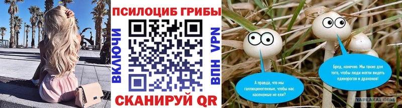 Псилоцибиновые грибы Magic Shrooms hydra ТОР Ульяновск
