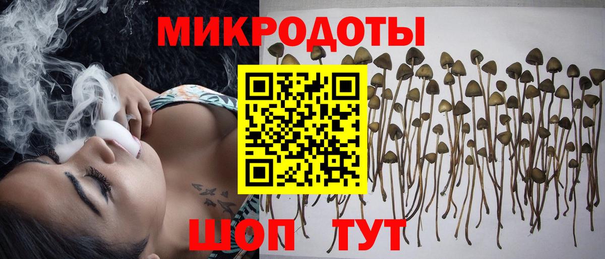 Ульяновск  Псилоцибиновые грибы Cubensis  Вход с VPN 